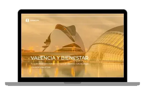 diseño-web-valencia-vanecen