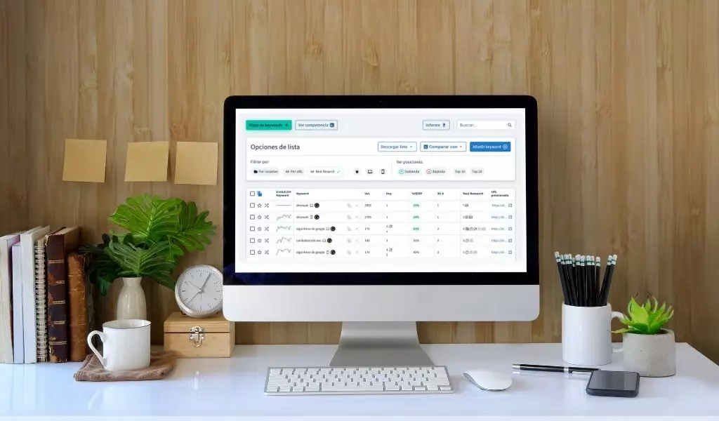 SEO-agencia-dinorank-ordenador